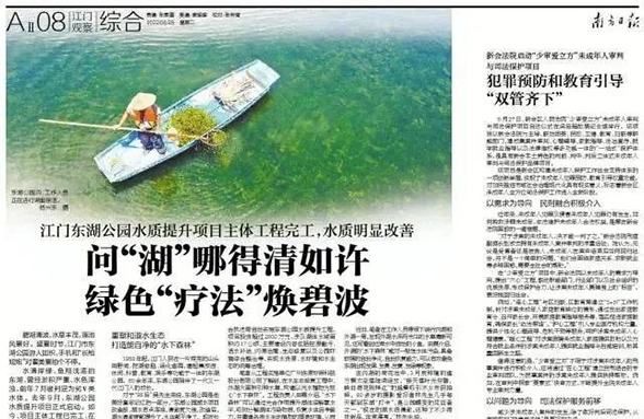 《南方日報(bào)》江門東湖公園：問“湖”哪得清如許 綠色“療法”煥碧波