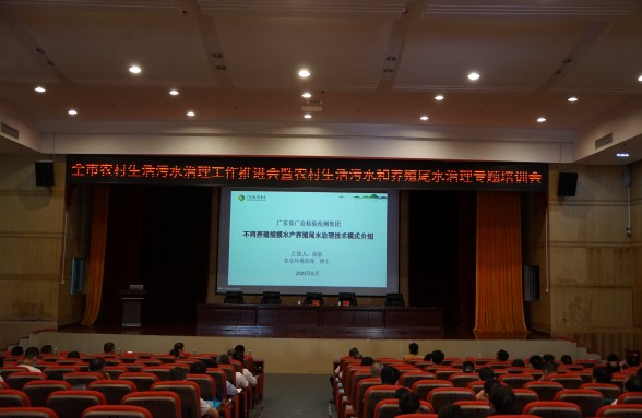 海洋牧場(chǎng)，生態(tài)先行，省環(huán)保基金會(huì)助力陽(yáng)江建設(shè)海洋牧場(chǎng)