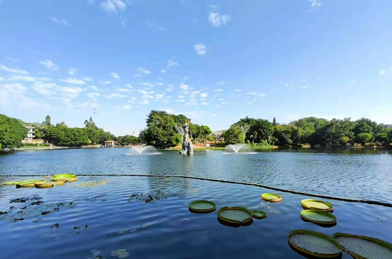 佛山禪城區(qū)石灣公園水質(zhì)提升項(xiàng)目